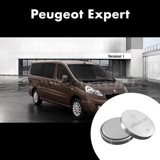 Pile clé Peugeot Expert 2 generation [restyling] (2012/2020)